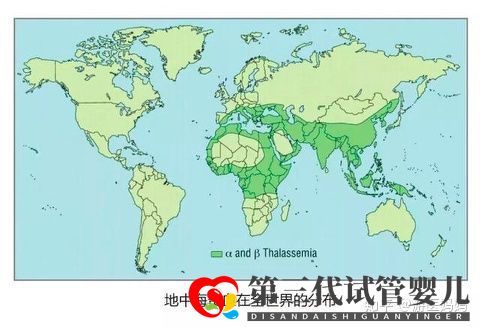 地中海贫血怎么办泰国第三代试管避免子代遗传!(图2)