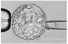 第三代试管婴儿真的最好最先进吗国内哪里可以做(图3)