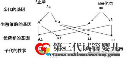 泰国三代试管PGD技术能解决白化病的遗传问题吗(图1)