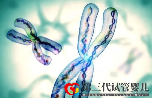 35岁以后怀孕的几率有多大怎样提高怀孕几率(图5)