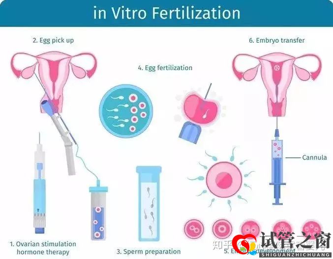 做一个试管婴儿要花多少钱医保能报销吗(图3)