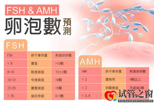 两分钟教你学会计算试管婴儿成功率,再也不用被人忽(图1)