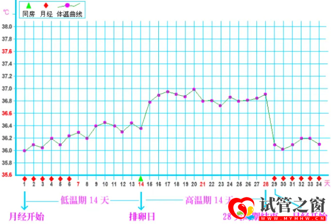 排卵期体温曲线图