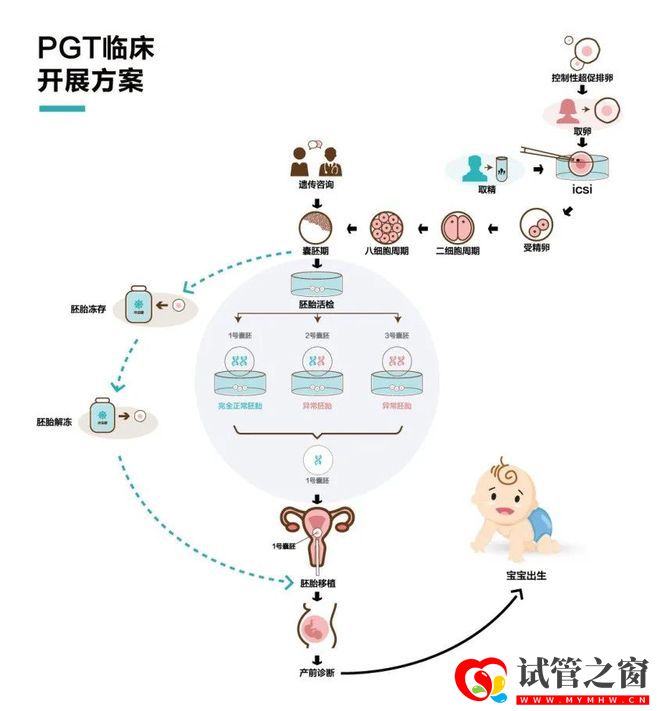 国内首个三代试管创新产品获批上市,胚胎领域黑科技到底牛在哪(图3)