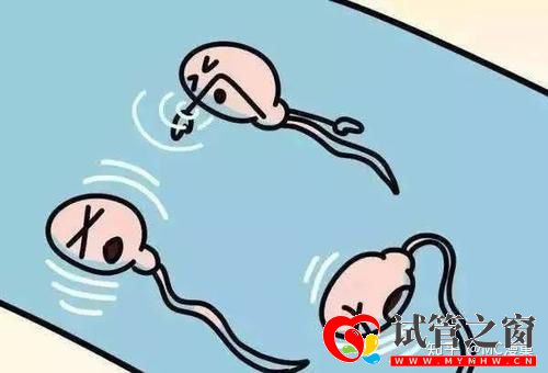 三分钟教你分辨死精和弱精(图2)