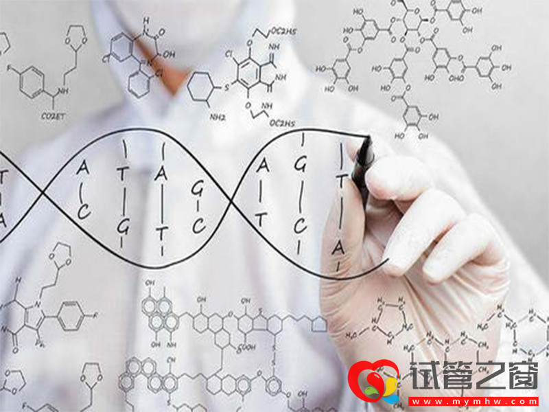 柬埔寨皇家生殖遗传医院费用