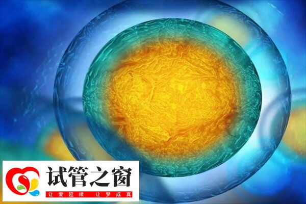 天津一中心医院做试管有哪些流程(图1) 天津一中心医院做试管有哪些流程(图1)