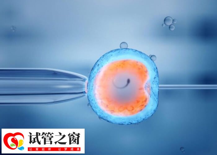 上海一妇婴供精二代试管婴儿花费详解,从建档到验孕需4万(图1) 上海一妇婴供精二代试管婴儿花费详解,从建档到验孕需4万(图1)