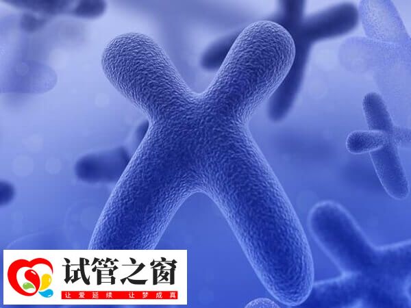 染色体异常要孩子怎么办(图1) 染色体异常要孩子怎么办(图1)