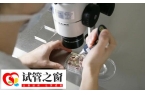 试管降调方案适合哪些人
